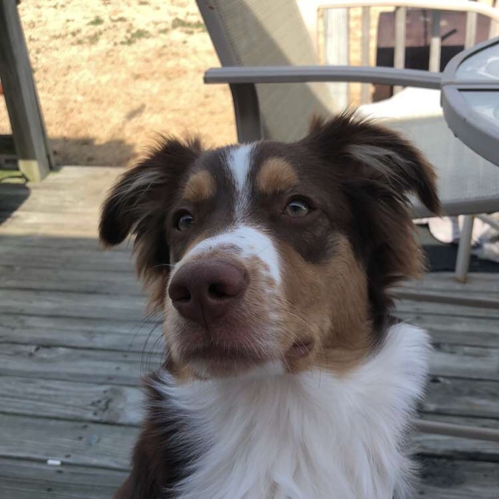 Meet your Posher, Tanya